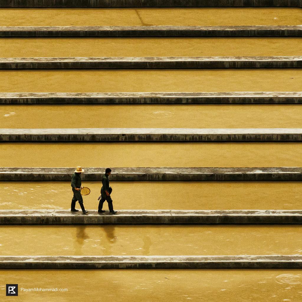 What Is Graphic Design Payam Mohammadi what-is-graphic-design-payam-mohammadi